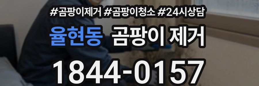 율현동 곰팡이 제거