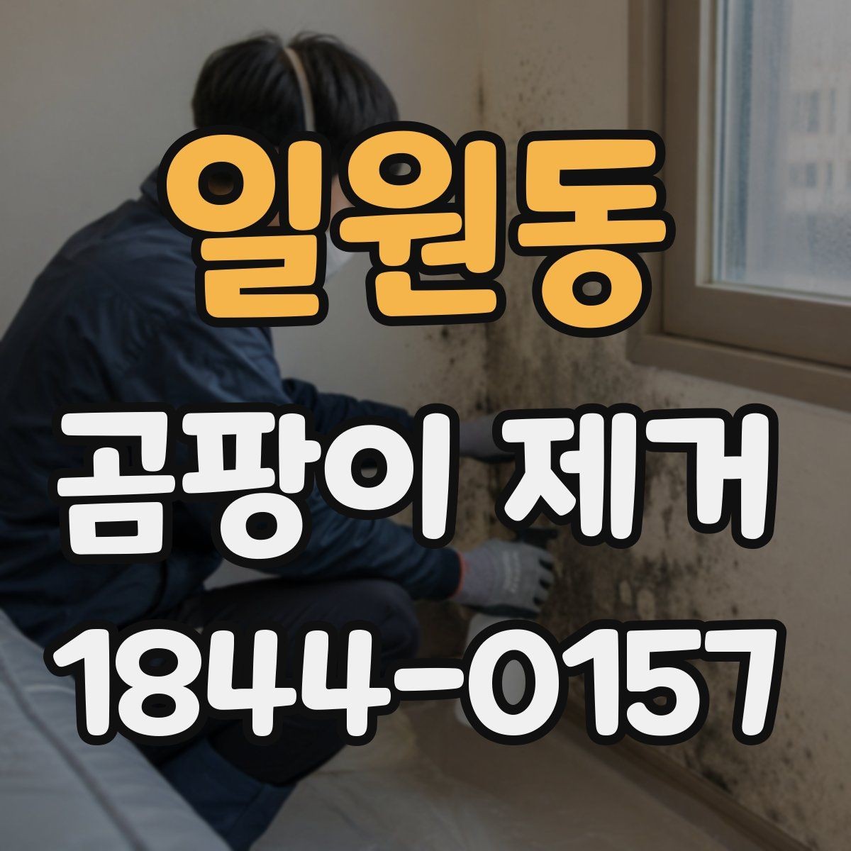 일원동 곰팡이 제거 벽지 손상 줄이려면 어떤 점을 봐야 할까