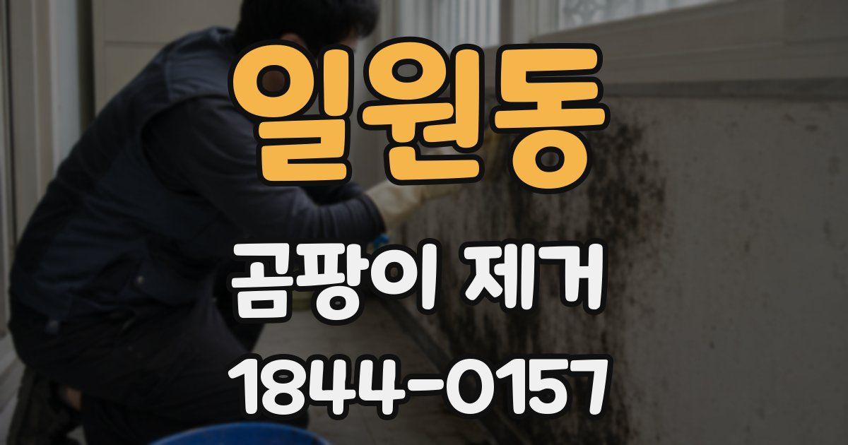 일원동 곰팡이 제거