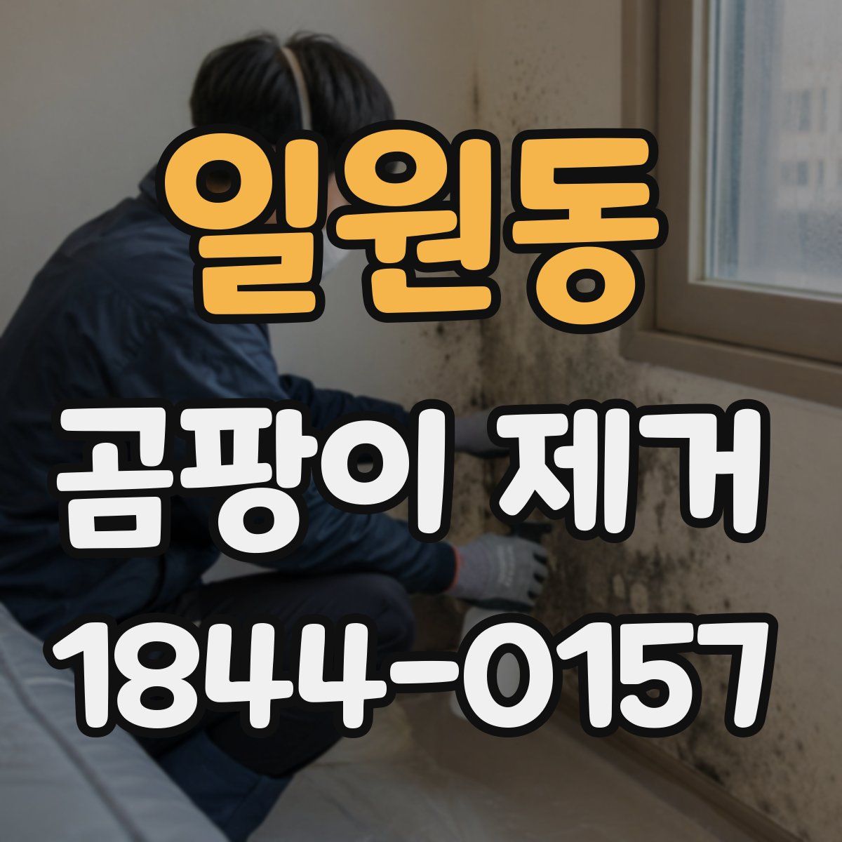 일원동 곰팡이 제거