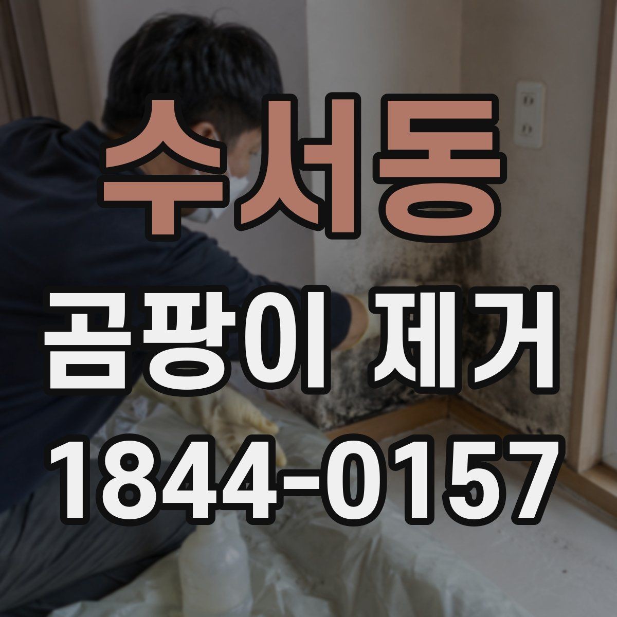 수서동 곰팡이 제거 번지기 전에 막는 공간별 관리 요령