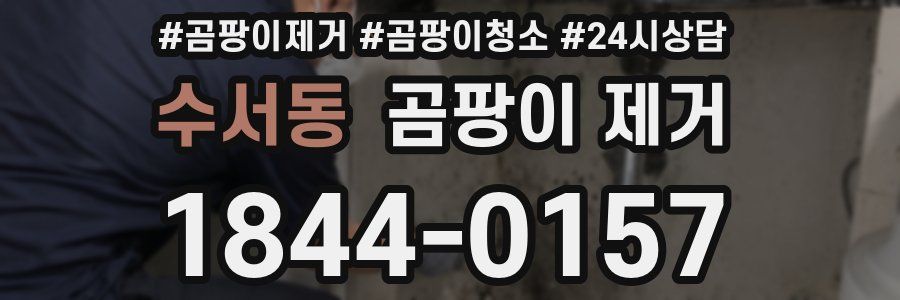 수서동 곰팡이 제거