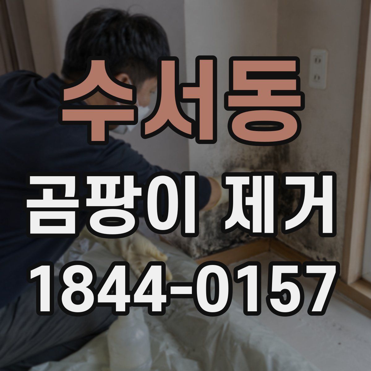 수서동 곰팡이 제거