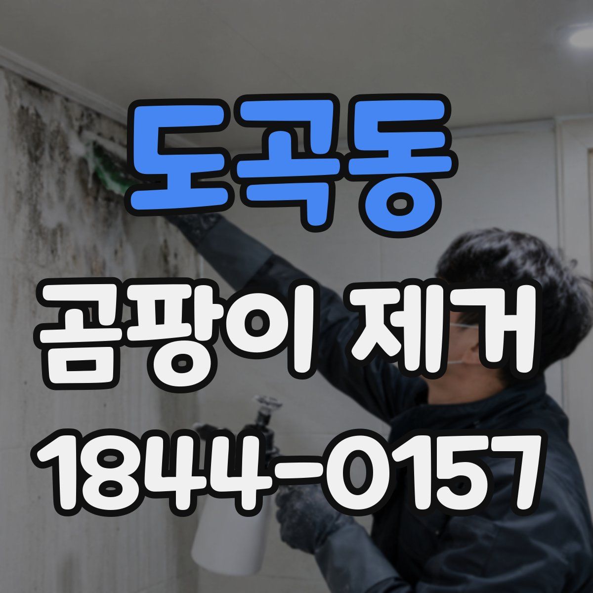 도곡동 곰팡이 제거