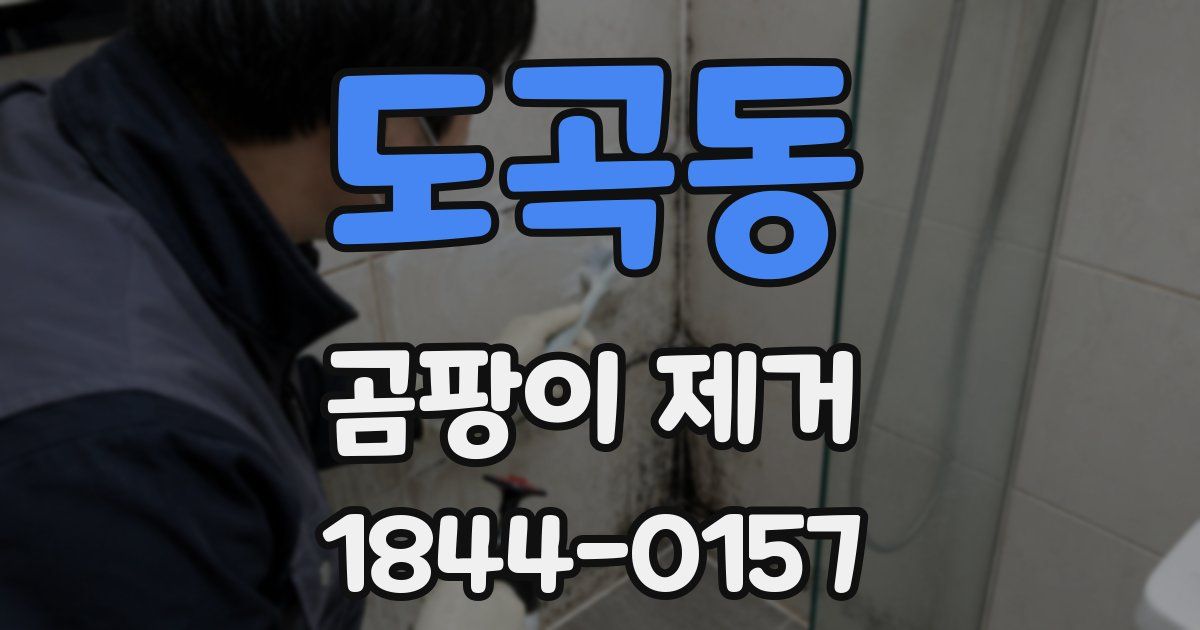 도곡동 곰팡이 제거
