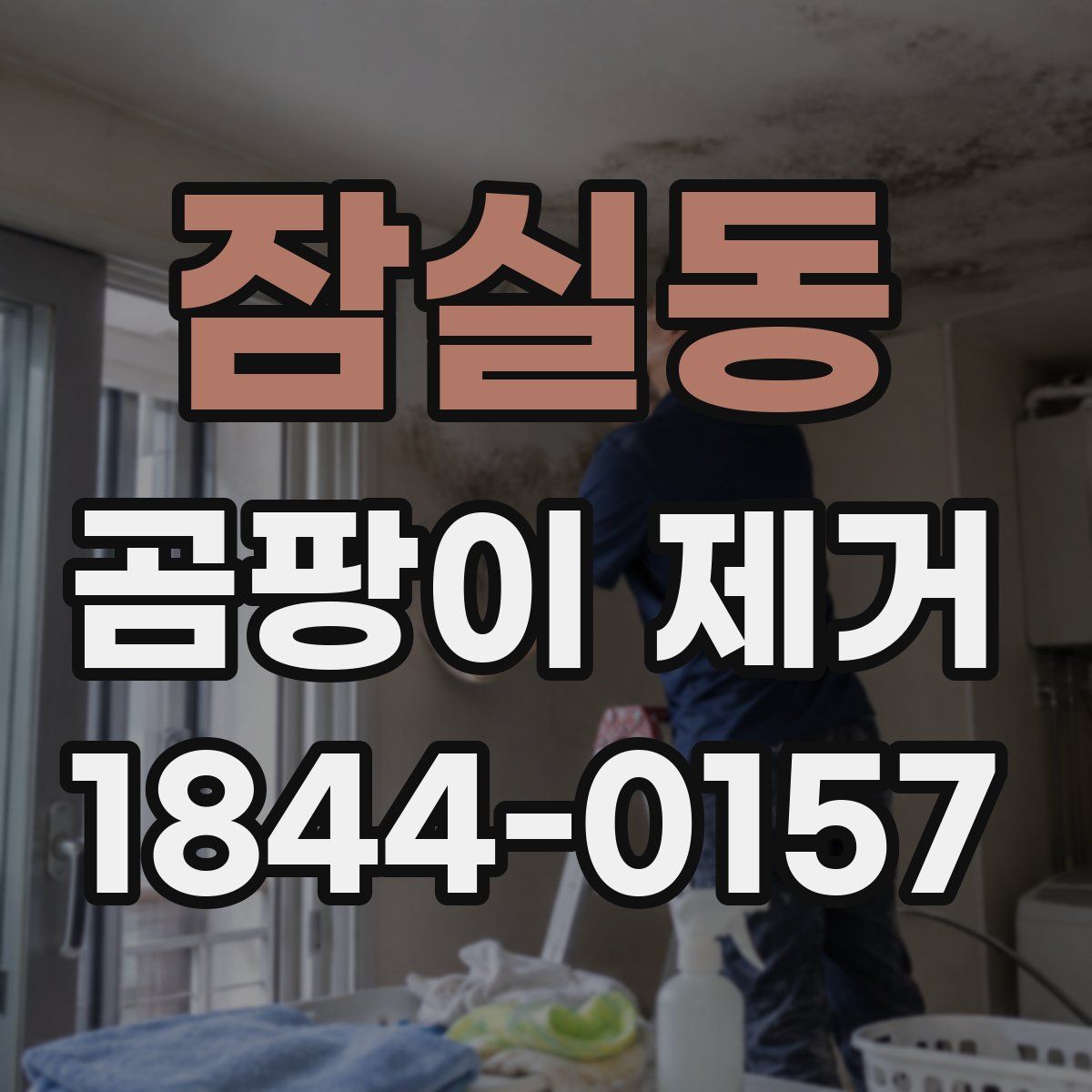 잠실동 곰팡이 제거