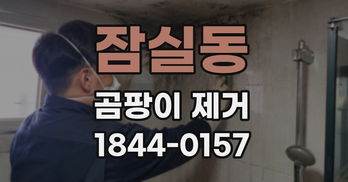 잠실동 곰팡이 제거