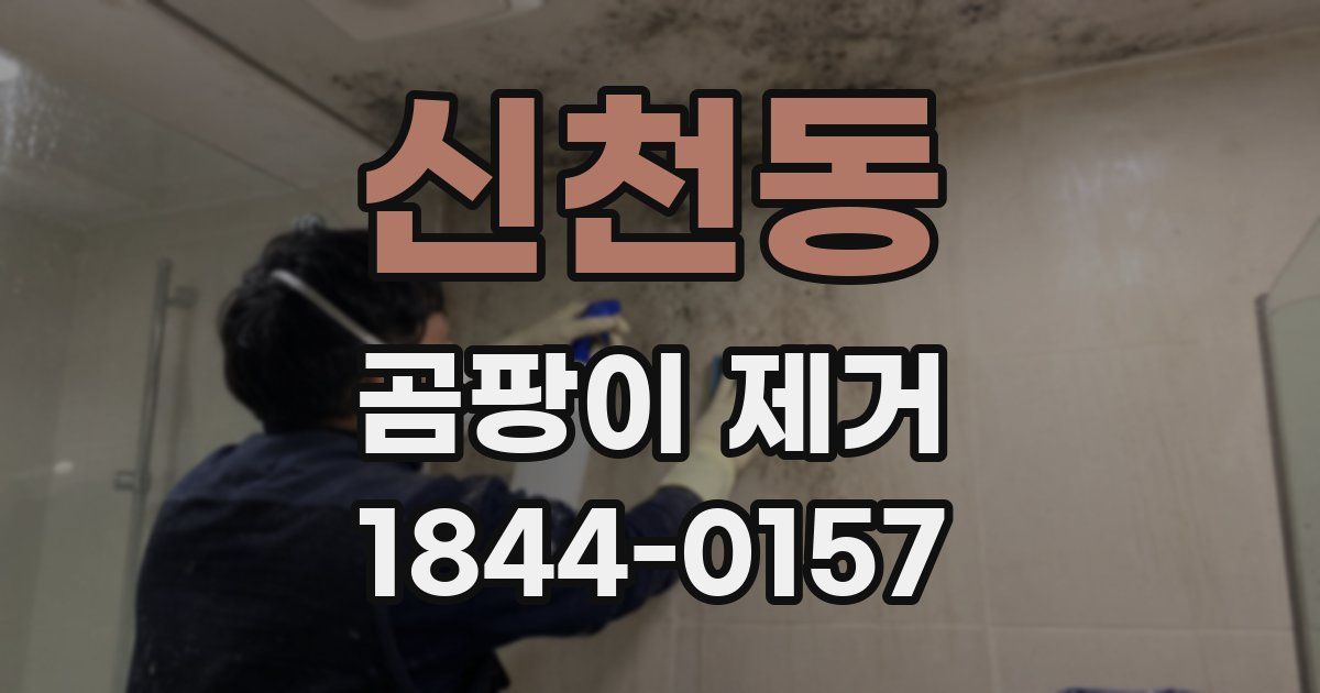 신천동 곰팡이 제거