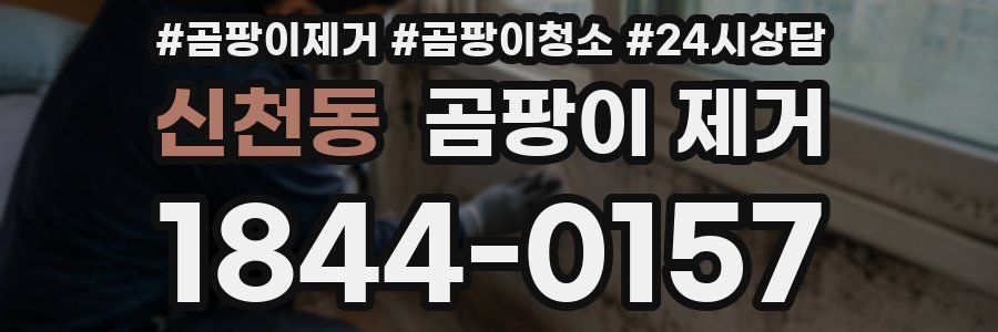 신천동 곰팡이 제거
