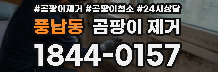 풍납동 곰팡이 제거