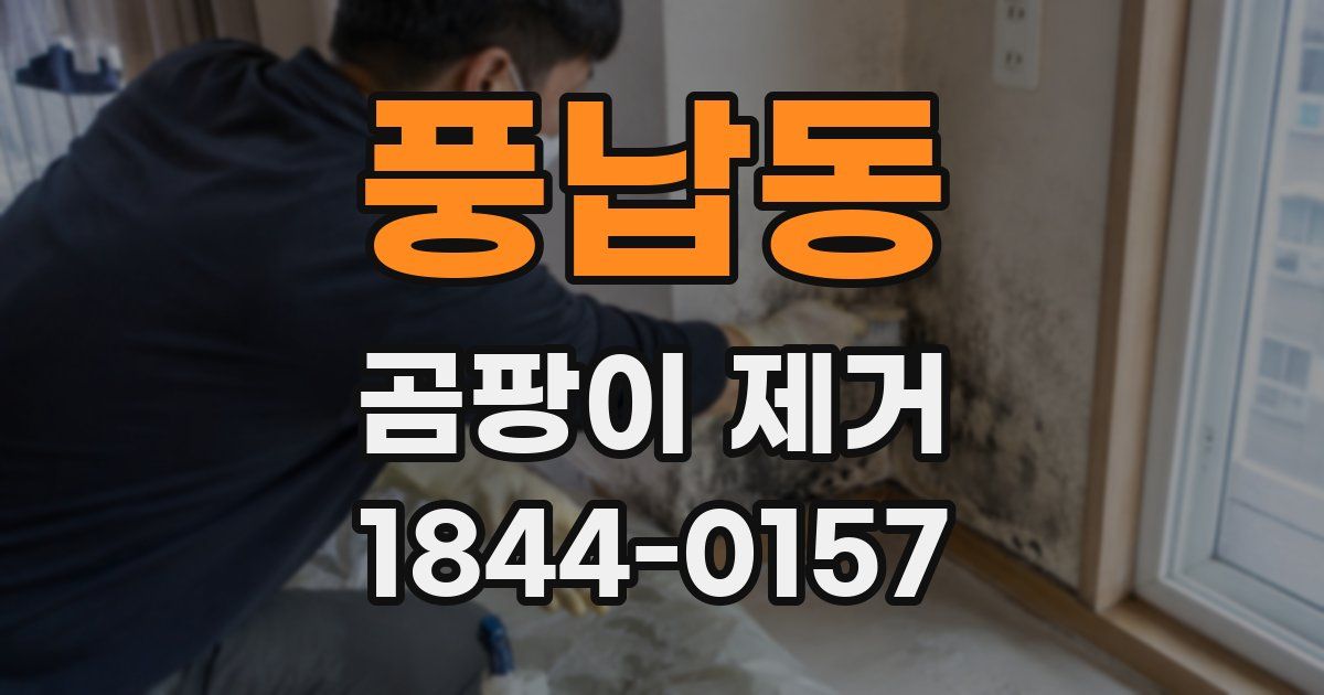 풍납동 곰팡이 제거