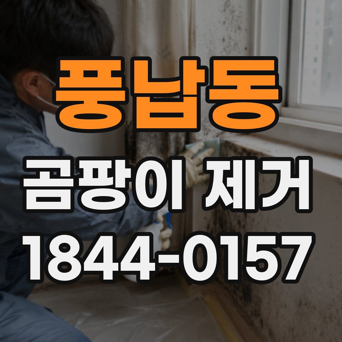풍납동 곰팡이 제거