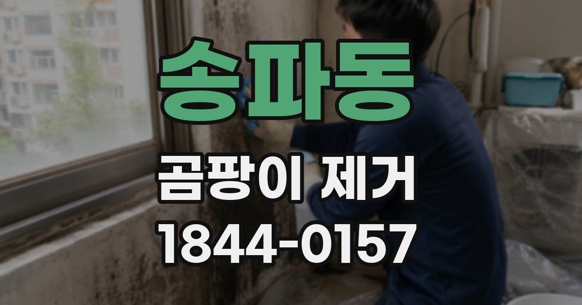 송파동 곰팡이 제거