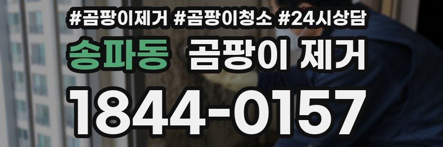 송파동 곰팡이 제거
