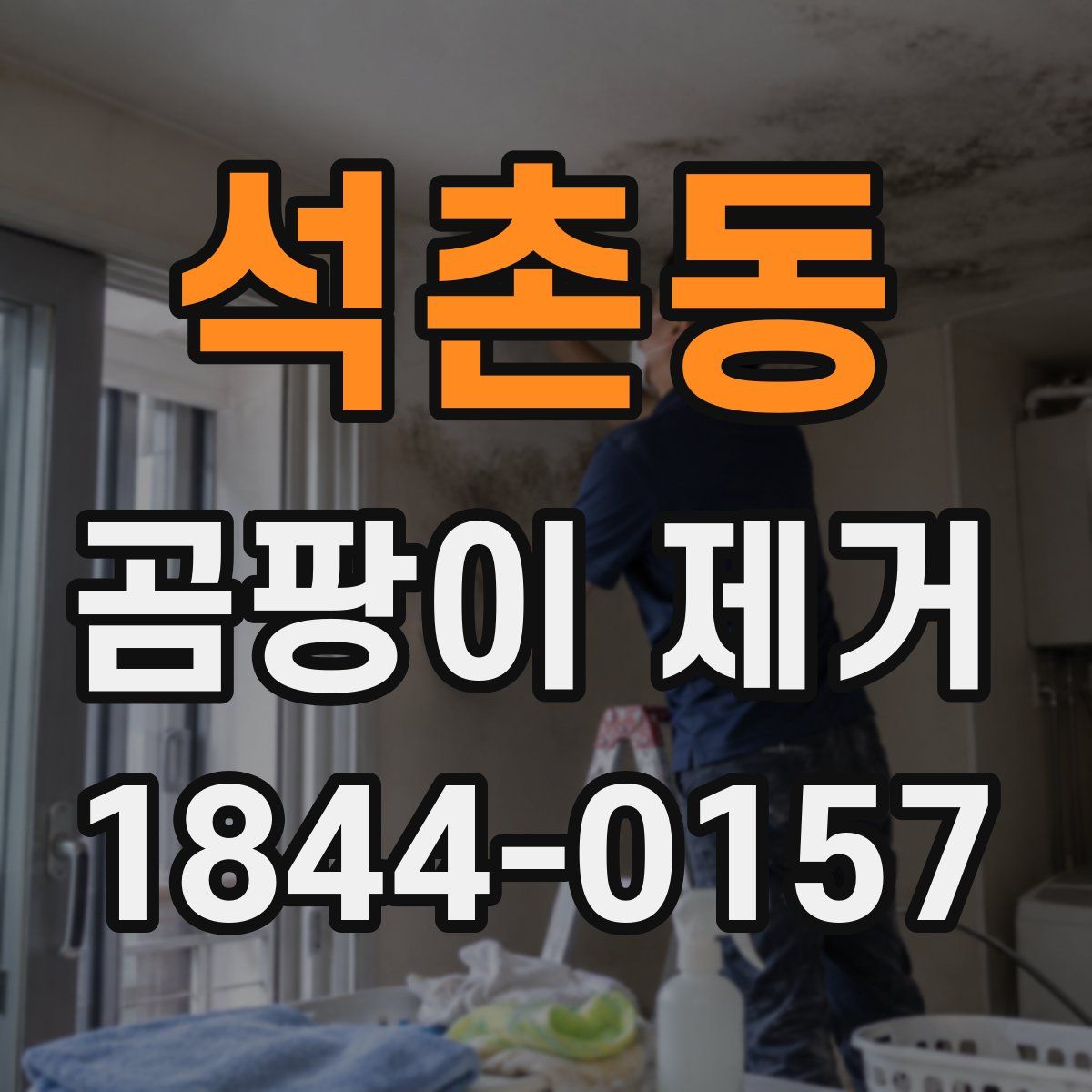 석촌동 곰팡이 제거