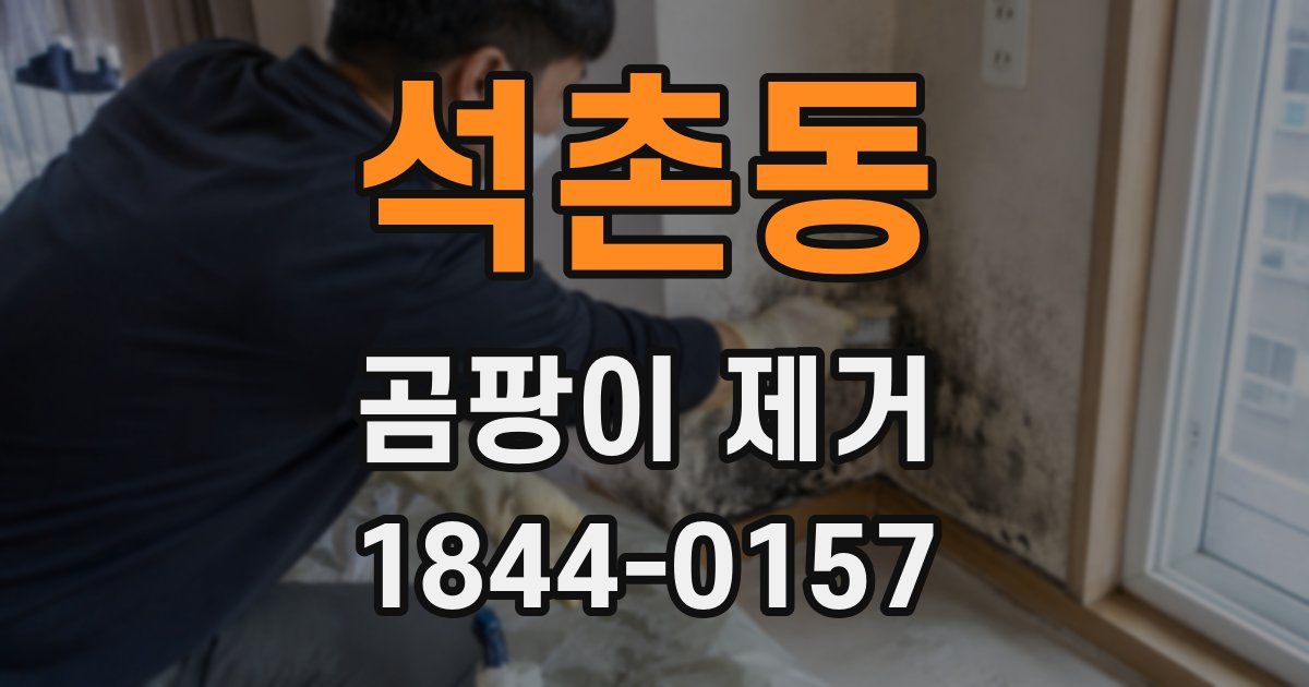 석촌동 곰팡이 제거