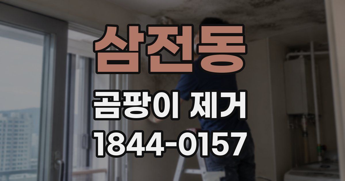 삼전동 곰팡이 제거