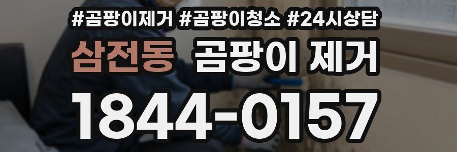 삼전동 곰팡이 제거
