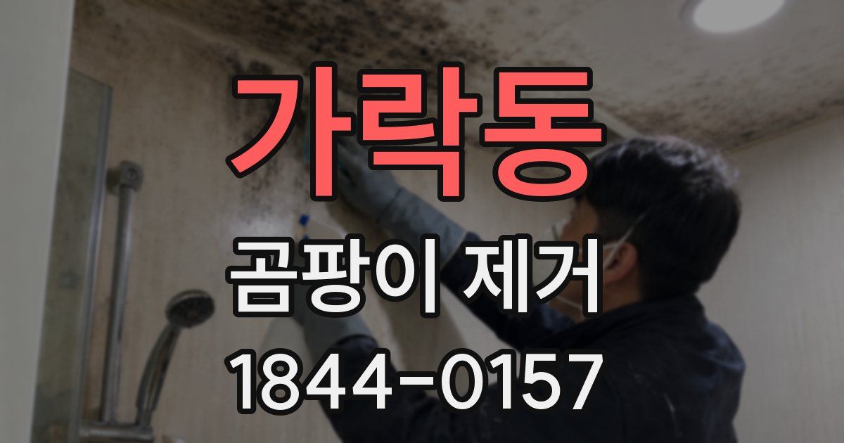 가락동 곰팡이 제거