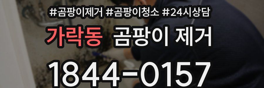 가락동 곰팡이 제거