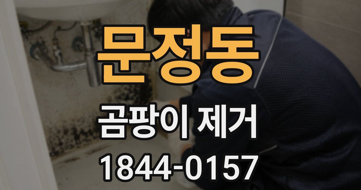 문정동 곰팡이 제거
