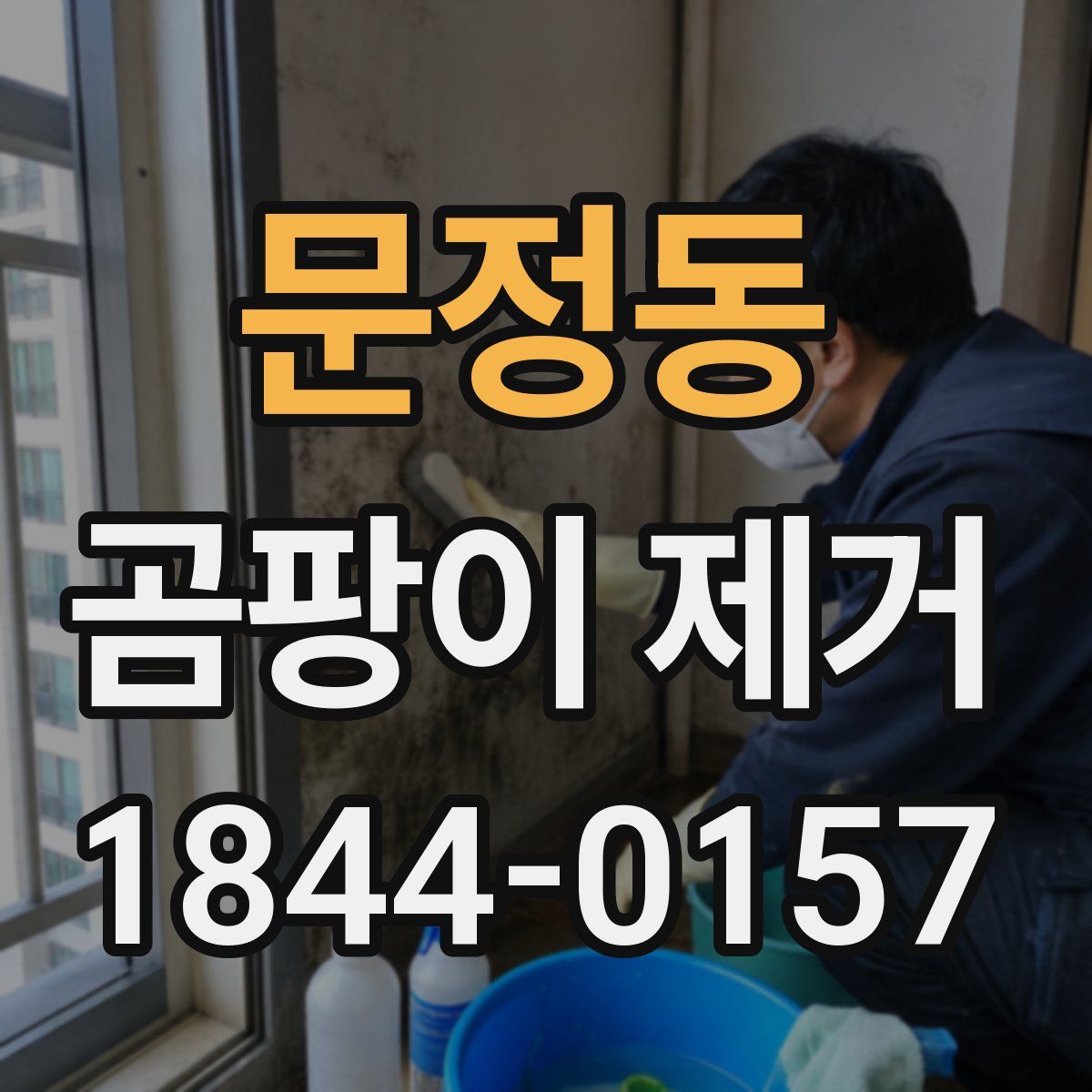 문정동 곰팡이 제거