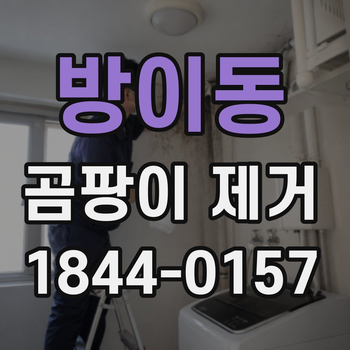 방이동 곰팡이 제거