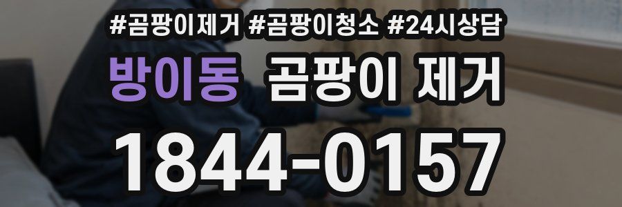 방이동 곰팡이 제거