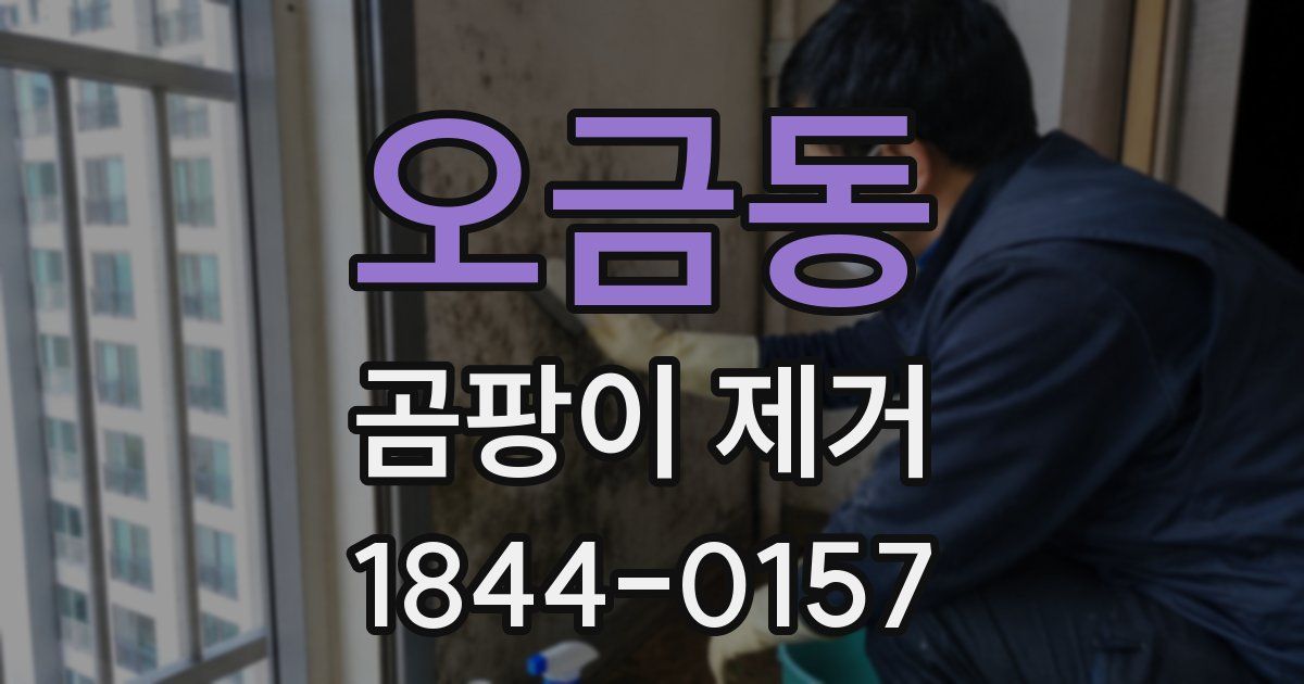 오금동 곰팡이 제거