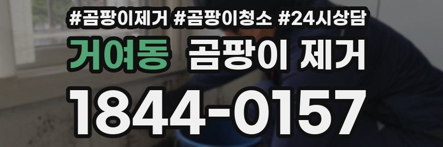 거여동 곰팡이 제거