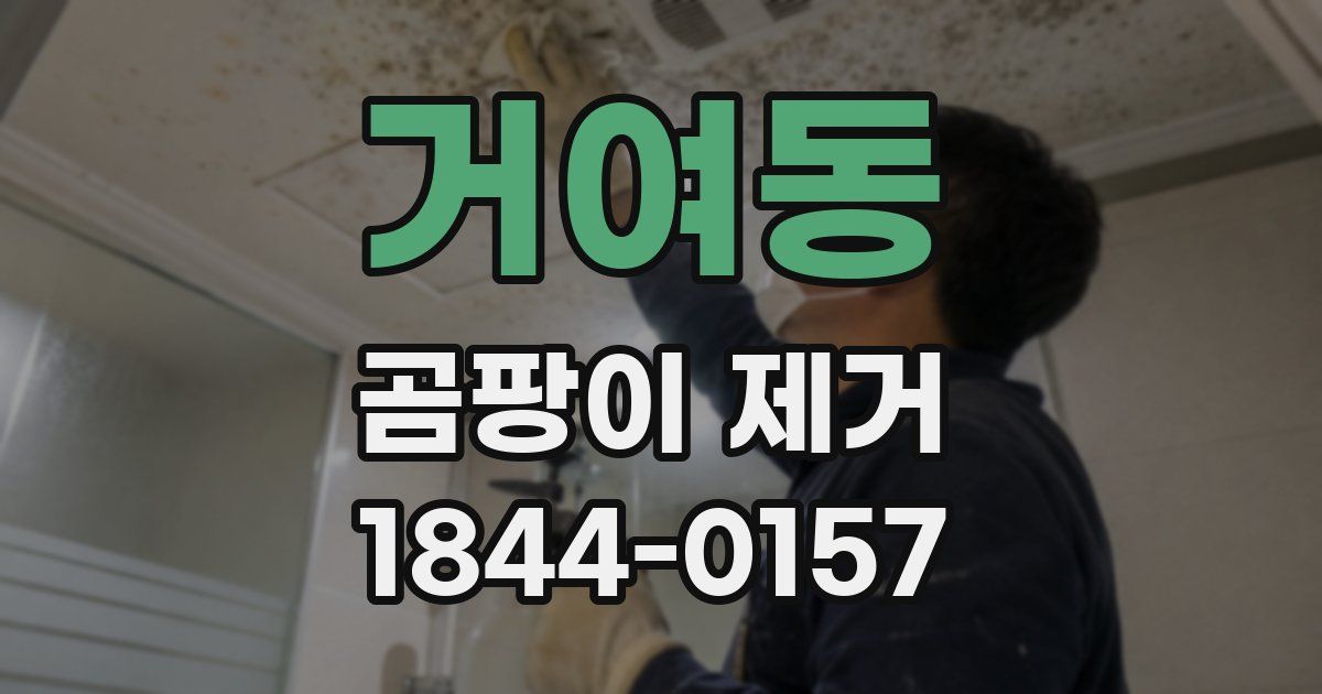 거여동 곰팡이 제거