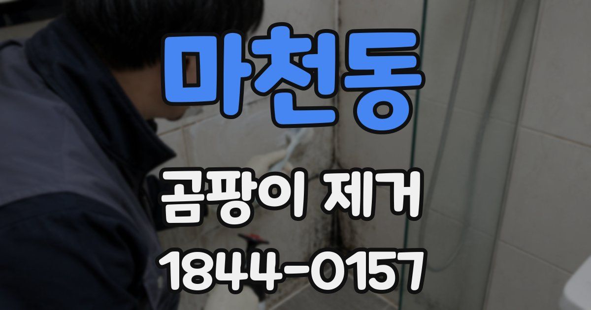 마천동 곰팡이 제거