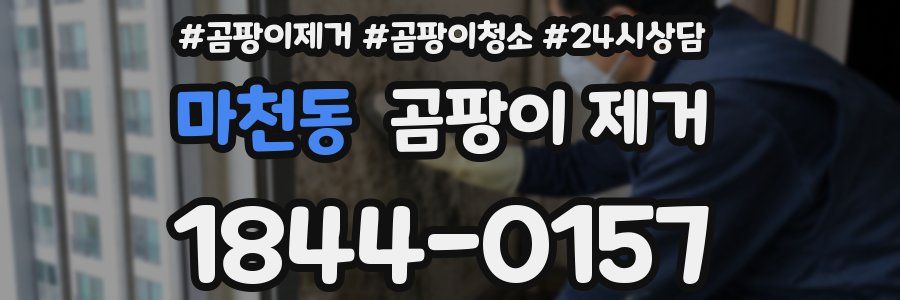 마천동 곰팡이 제거