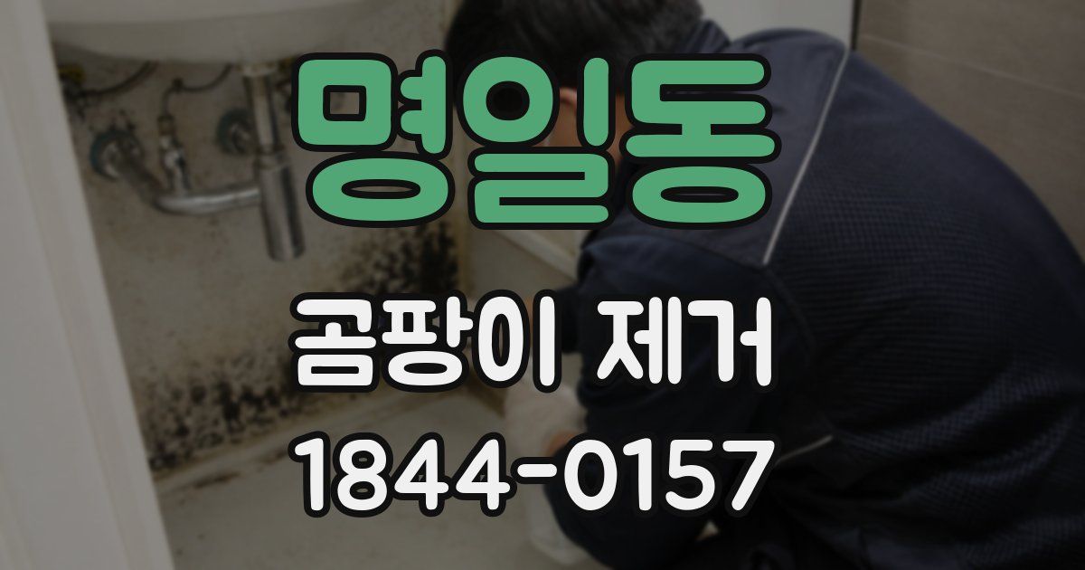 명일동 곰팡이 제거