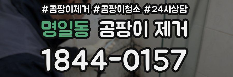 명일동 곰팡이 제거