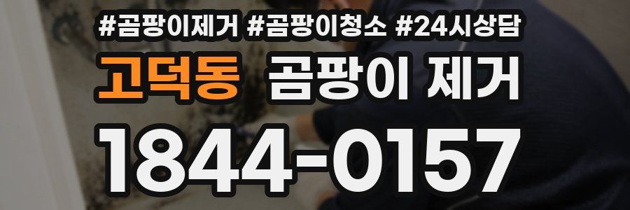 고덕동 곰팡이 제거