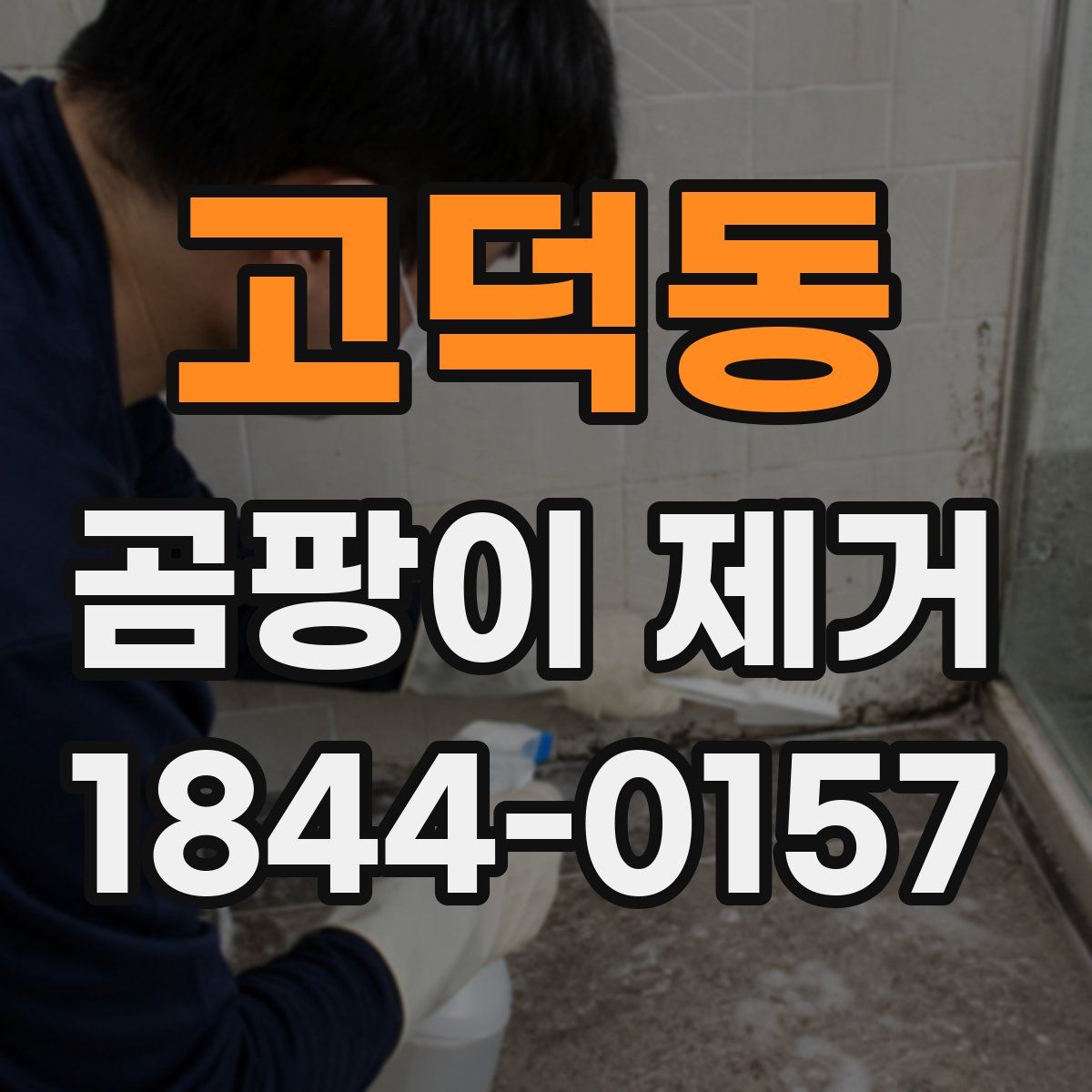 고덕동 곰팡이 제거