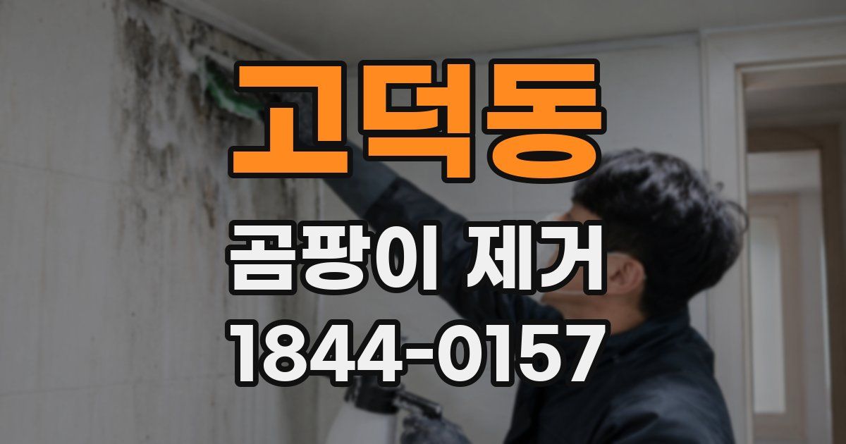 고덕동 곰팡이 제거