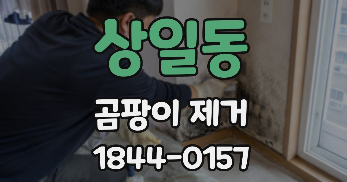 상일동 곰팡이 제거
