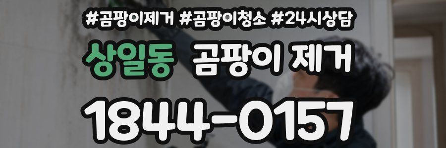 상일동 곰팡이 제거
