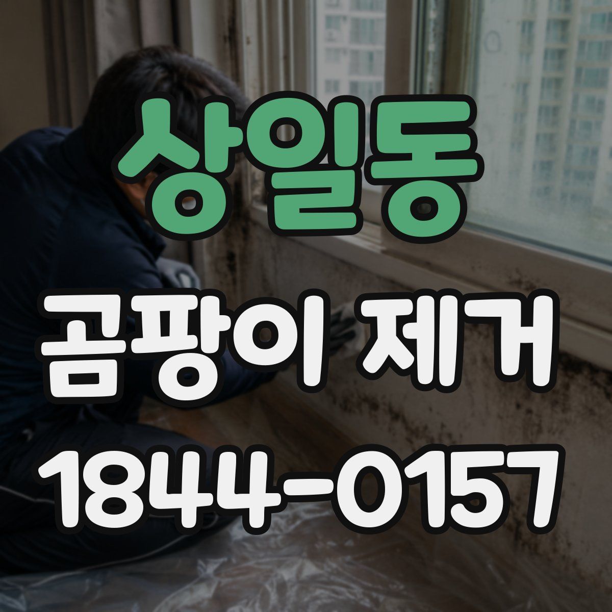 상일동 곰팡이 제거