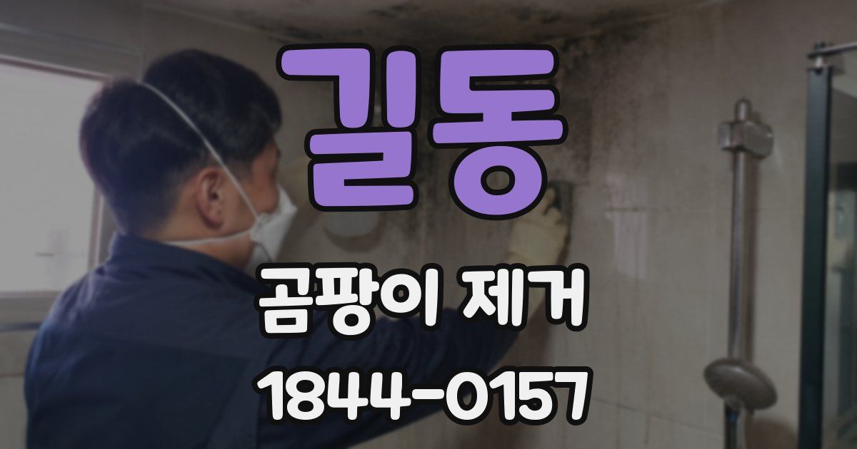 길동 곰팡이 제거