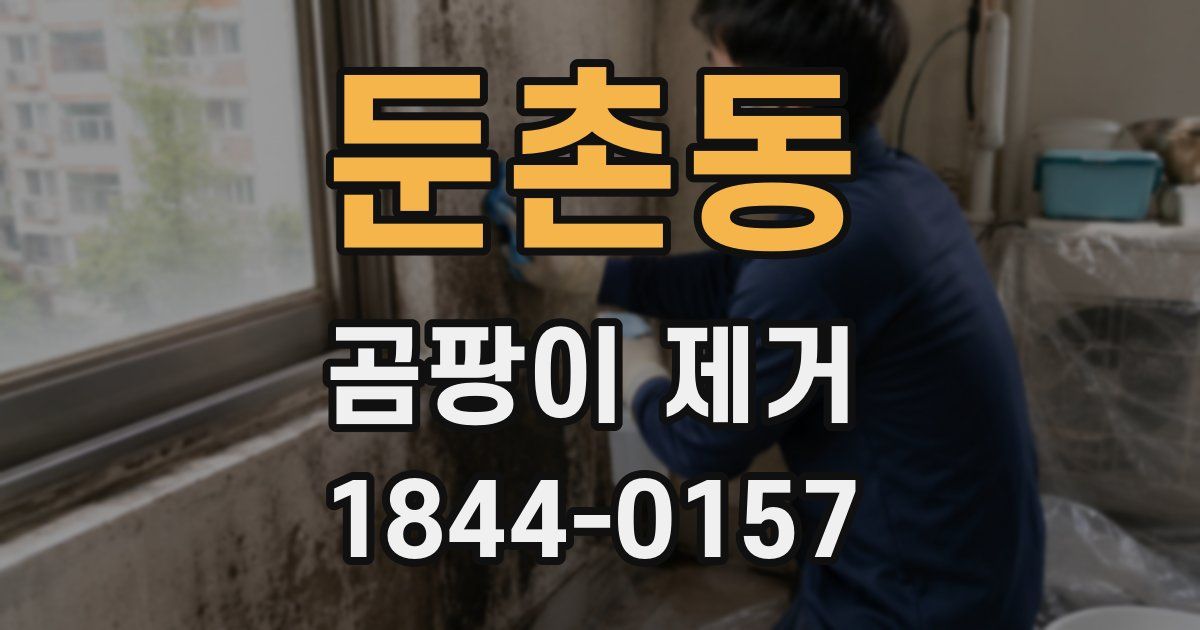 둔촌동 곰팡이 제거