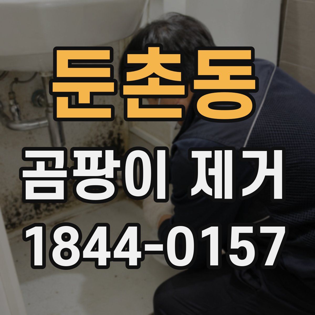 둔촌동 곰팡이 제거