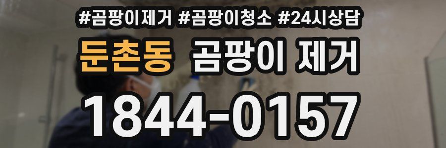 둔촌동 곰팡이 제거