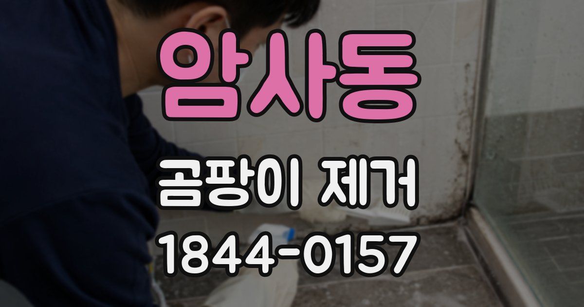 암사동 곰팡이 제거