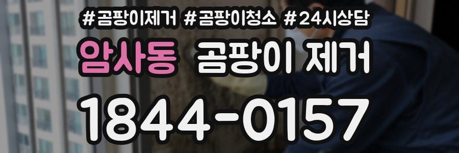 암사동 곰팡이 제거