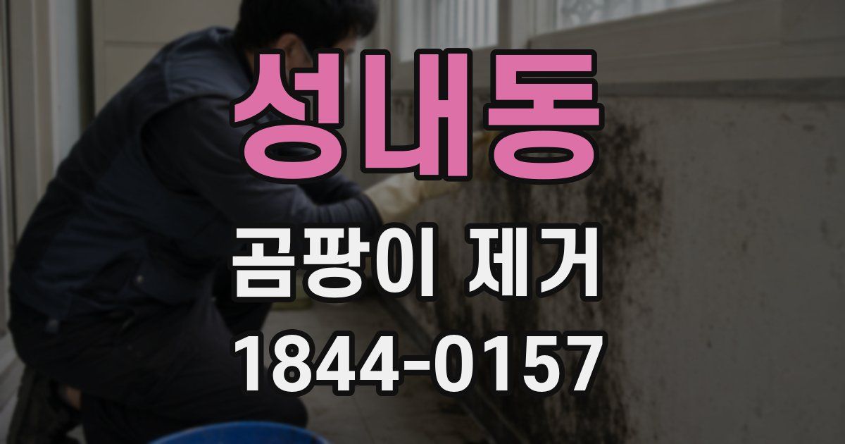 성내동 곰팡이 제거