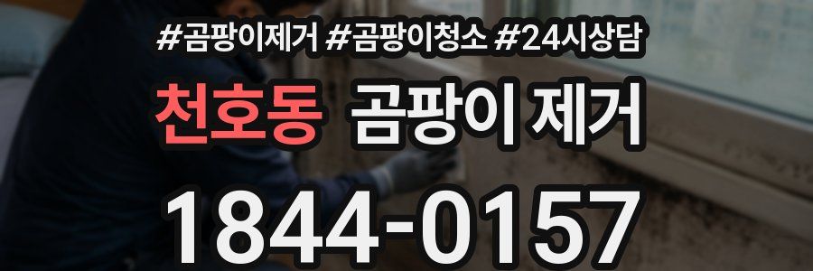 천호동 곰팡이 제거
