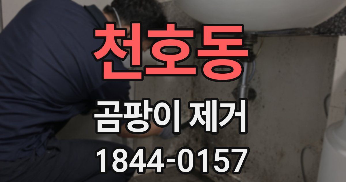 천호동 곰팡이 제거